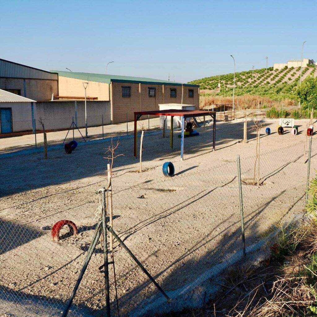 Nuestro Refugio de animales